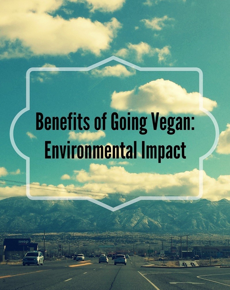 Benefits Of Going Vegan: Part 3 - Your Ecological Footprint - Prepgreen